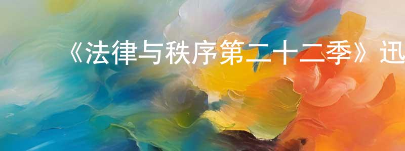 影视迷陈炳昶的个人博客,《法律与秩序第二十二季》迅雷下载/在线观看-犯罪历史-美剧天堂